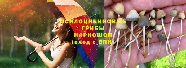 альфа пвп VHQ Коряжма