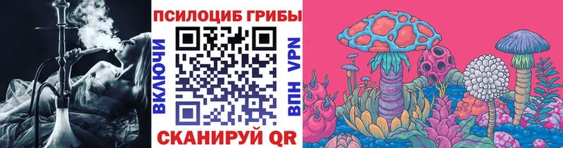 Псилоцибиновые грибы Psilocybine cubensis  Купить  Зея 